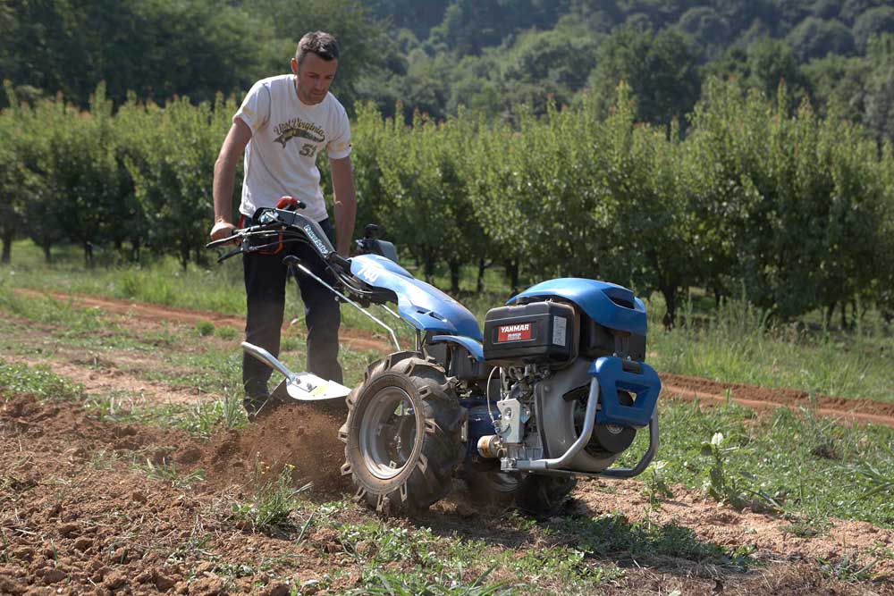 Wood Machinery Ltd. Uganda Wood & Agro Machinery, New and Used Italian Wood Working Machines, Sharpening Services for all types of Cutters, Spare Parts, Sand Paper and Tools, 2 Wheel Tractors, Kampala Uganda, Ugabox